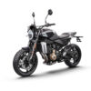 Svartpilen 801 2024
